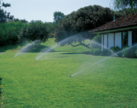 Residential Irrigation