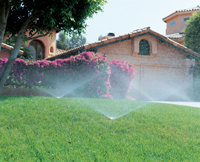 Residential Irrigation